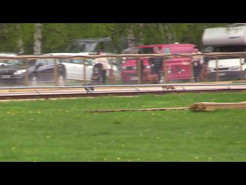 30.5.2017 Hyvinkää, Nopsa ja Potti 280 m