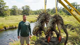 Pescadores capturam criatura estranha que ninguém deveria ter visto