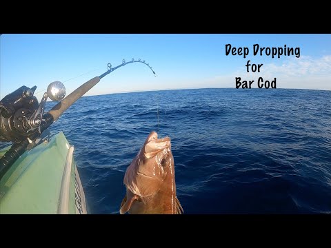 Deep Dropping for Bar Cod off the Continental shelf.