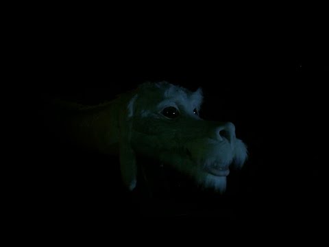 Video thumbnail for Babysitter