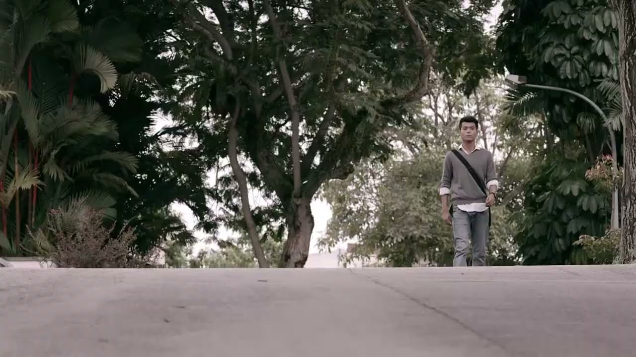 The Transplants - TRAILER