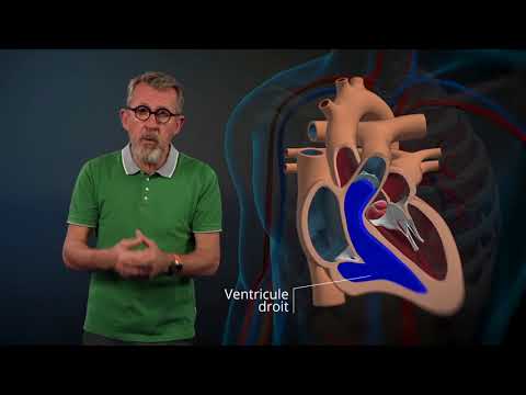 Le fonctionnement du cœur expliqué par Jamy