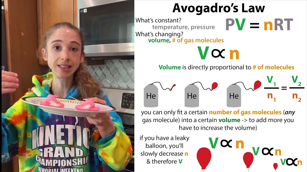Peeps Ideal Gas Law demo