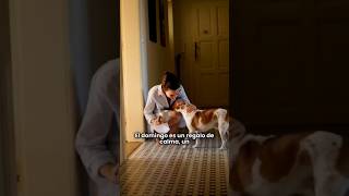 El domingo es un regalo de calma, un suspiro que nos recuerda la importancia del descanso