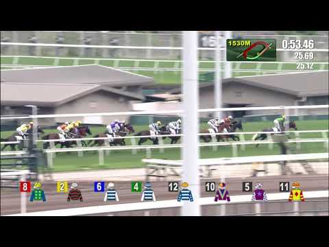 2021 Queen Mother Memorial Cup International Group 3 2400m