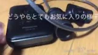 主が商品紹介したいようです