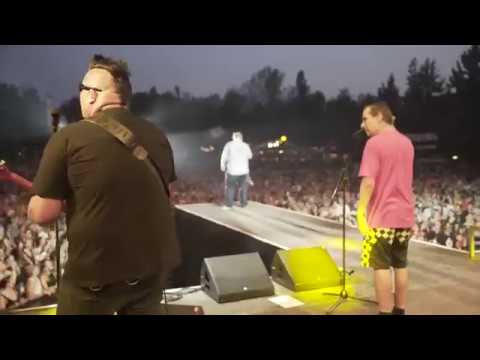 Dancehall Nice Again - Polemic & Dr. Ring Ding