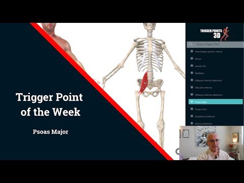 Trigger Point of the Week - Psoas Major
