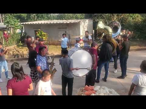 Banda filarmonica de San Juan Cotzocon mixe en San Juan Jaltepec Yaveo Oaxaca 2024