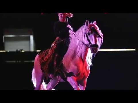 Equine Affaire Fantasia Trailer