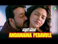Andamaina Pedavule Video Song Black Money Telugu Movie Mohanlal Amala Paul