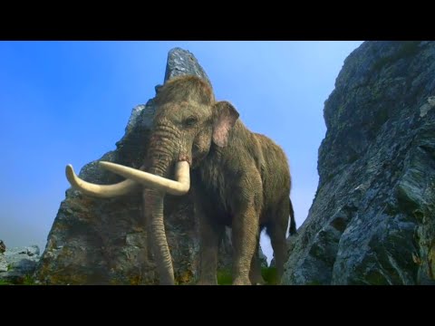 Ice Age Giants BBC [2013] - Columbian Mammoth Screen Time