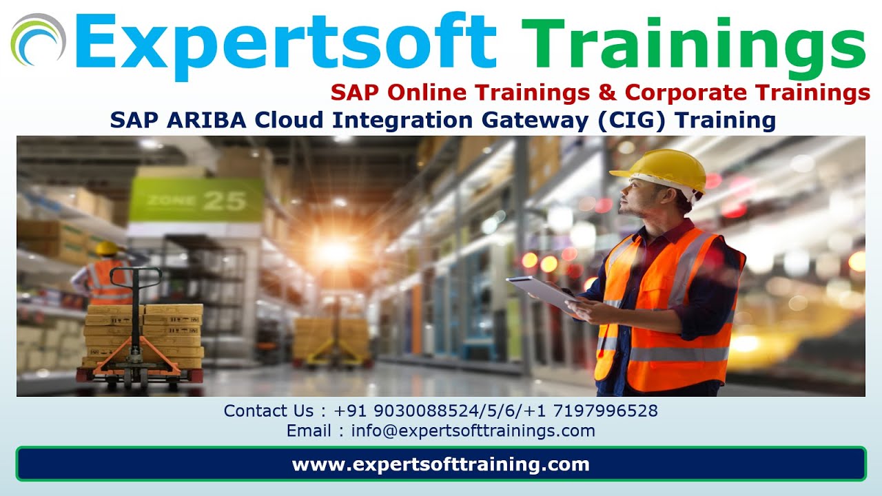 SAP ARIBA CIG Training | SAP ARIBA CIG Online Training