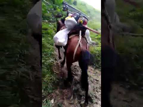 CAMINO HACIA FINCA LA FORTUNA VALLE DE SANJUAN TOLIMA