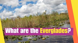 What are the Everglades | Learn about the Biodiversity and Ecological Importance of the Everglade