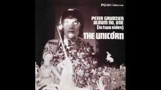 Peter Grudzien ‎- Star Spangled Banner Waving Somewhere