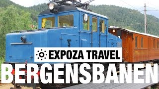 Bergensbanen Vacation Travel Video Guide