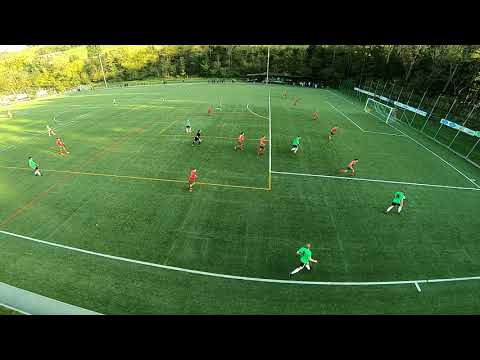 Zusammenfassung Video 3. Liga FC Reichenbach - FC Lerchenfeld vom 20.10.2018