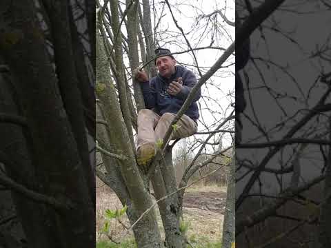 Fetor, smród, odór ! którym przesiąkłem i jestem bezradny