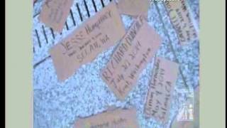 JAMILA WOODS &amp; PROTEST OF SHOOTINGS