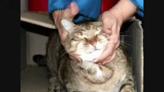 I've got my love to keep me warm