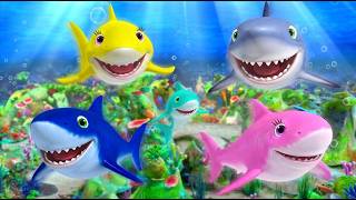 We Love Sharks 🦈🌊 Baby Shark Song Collection | Little Baby Bum