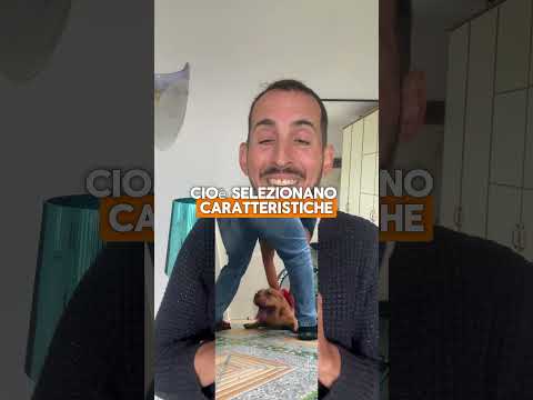 La malformazione genetica e il colpo di calore