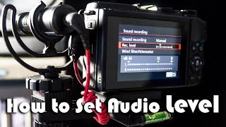 How to Correctly Set the Audio Level | Audio 101 for Video Creators