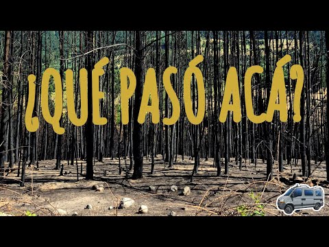 Así está HOY Puerto Patriada y Lago Epuyén después del incendio 😢