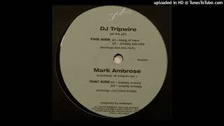 DJ Tripwire - Song Of Kaur