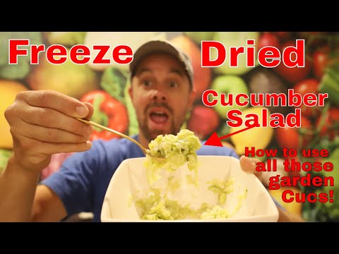 Freeze Dried Cucumber Salad -- Use Up Your Garden Cucumbers #freezedriedcucumber