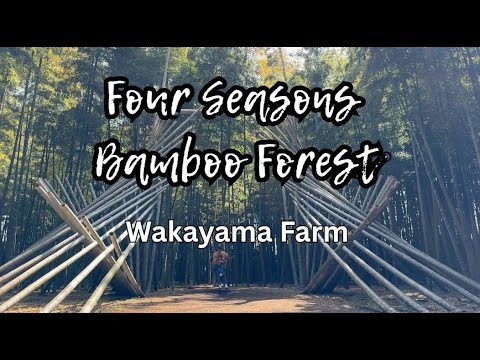 Four Seasons Bamboo Forest Wakayama Farm
