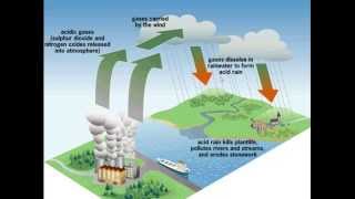 Acid rain for iGCSE Biology