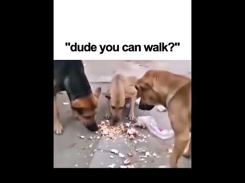 😭