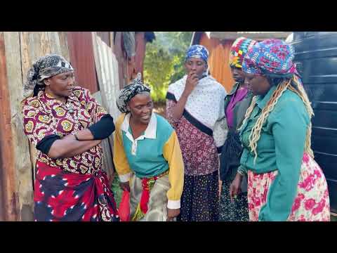 WARIGIA AND WACUGUNI COMPARE EXAMPLES (Part 1)