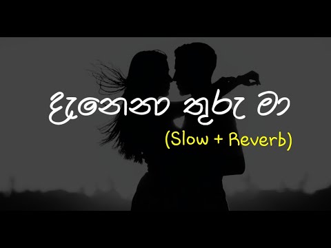 Danena Thuru Ma (දැනෙනා තුරු මා) - Slow + Reverb @supunzstudio