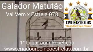 Matutão 240