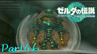 毎月集めたらこうなるんです？？-ゼルダの伝説 Tears of the Kingdom -part46-