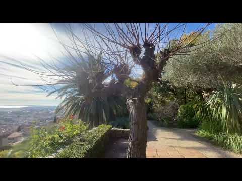 Visite Guidée Hyères - Côte d'Azur - Guides France