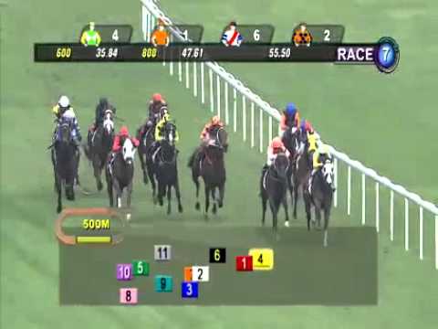 SINGAPORE RACE 01/01/2014 RACE 7 - iAgencyNet.com