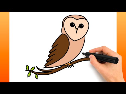 Comment Dessiner Une Chouette Effraie (Tutoriel De Dessin Facile)