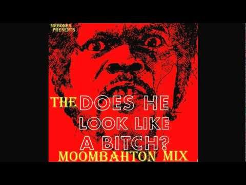 ELECTRO HOUSE MOOMBAHTON MIX