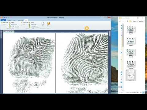 Search A Fingerprint Record on AFIS - The Basics