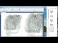 Search A Fingerprint Record on AFIS - The Basics
