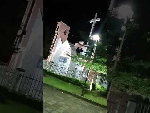 UNA VISTA PANORÁMICA NOPTURNA DEL PARQUE DE PUERTO QUITO ECUADOR