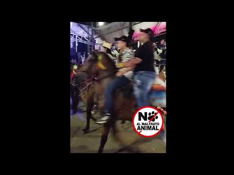 Cabalgata de Buga.  Vergüenza Nacional.