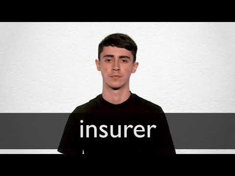 Insurer definition and meaning | Collins English Dictionary