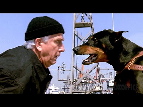 All the Most Iconic Gags from The Naked Gun 2½: The Smell of Fear