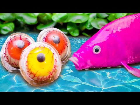 Stop Motion ASMR - RAINBOW CARP💕 Swallow Eels And Fancy Candies, Catfish | Colorful Koi Fish |Coco