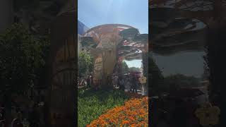 🇻🇳 호치민 응우옌후에 Street, 설을 맞은 꽃의 거리 🌸”